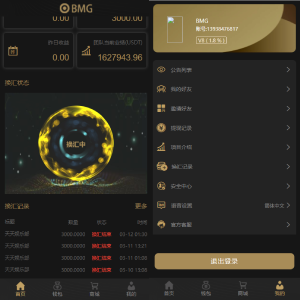 双语言USDT投资系统/虚拟币动态收益/USDT换算推广