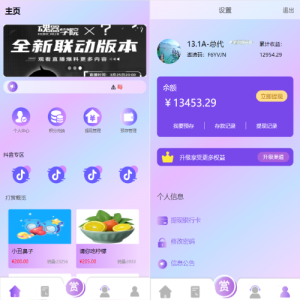 定制版抖音刷单系统/抖音抢单刷单源码/手动自动抢单