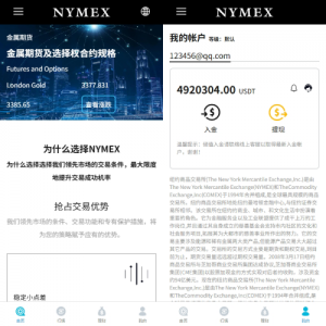 海外微交易系统/虚拟币外汇交易/PC微盘/多语言微盘