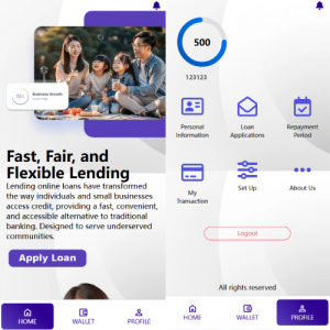 海外贷款平台/小额贷款系统/信用分/合同/提现码