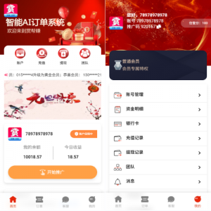 运营版抢单刷单系统/打针/做单/会员跟踪/信誉分